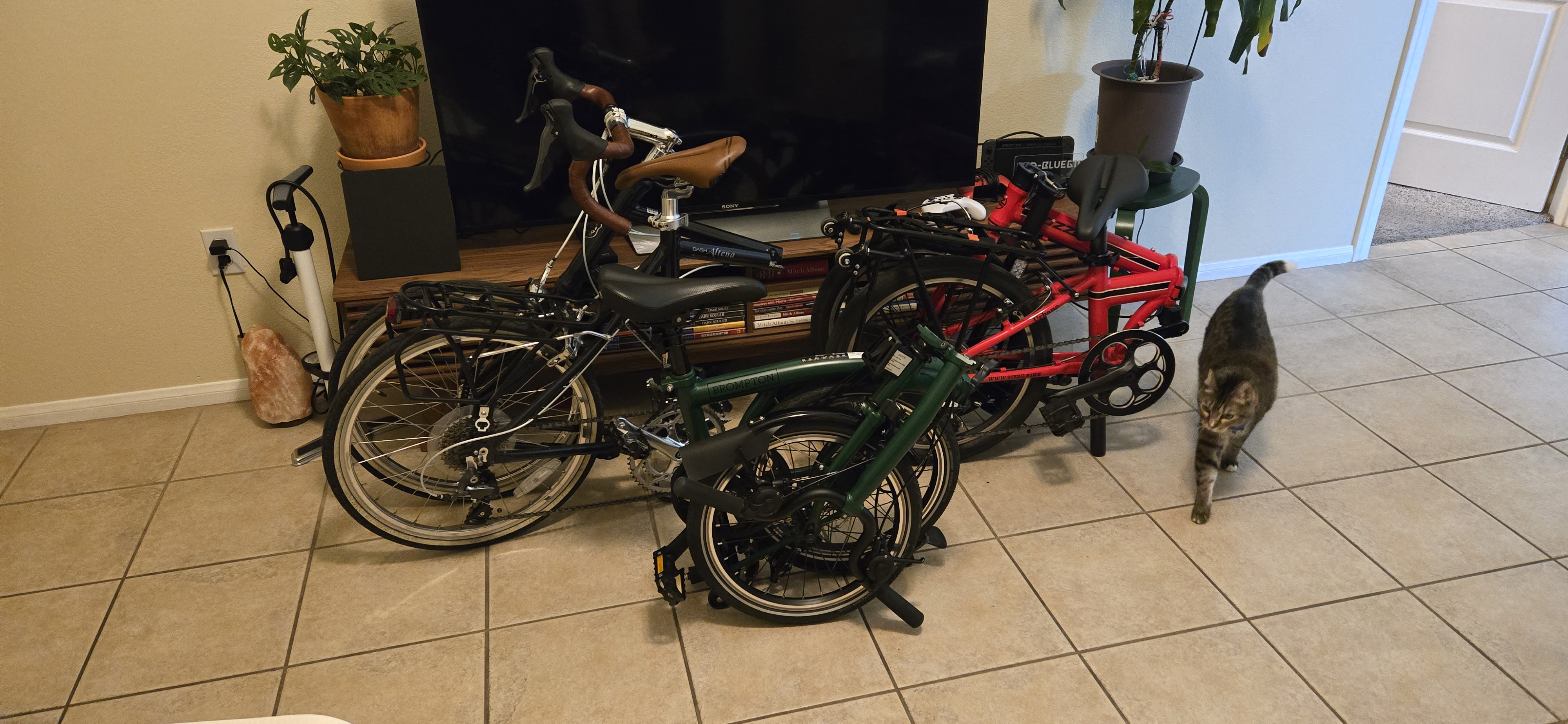 Folding bike comparison